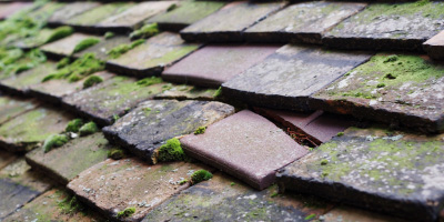 Tilstock roof repair costs